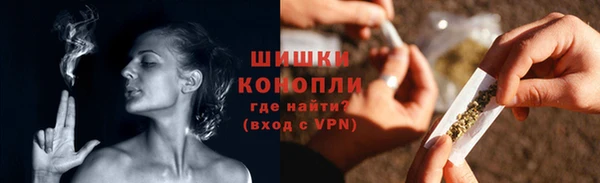 мдпв Дмитриев