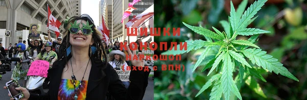 мяу мяу мука Дмитров